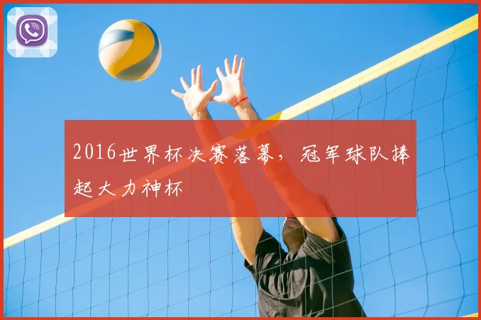 2016世界杯决赛落幕,冠军球队捧起大力神杯