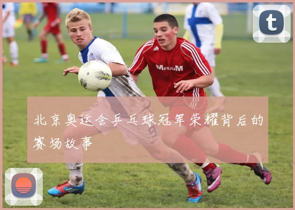 北京奥运会乒乓球冠军荣耀背后的赛场故事